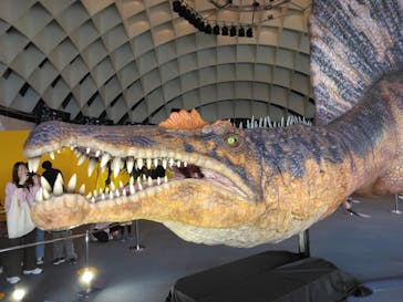 オダイバ恐竜博覧会2024 -福井から“ヤツラ”が新幹線でやってくる！-に投稿された画像（2024/4/3）