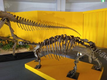 オダイバ恐竜博覧会2024 -福井から“ヤツラ”が新幹線でやってくる！-に投稿された画像（2024/4/3）