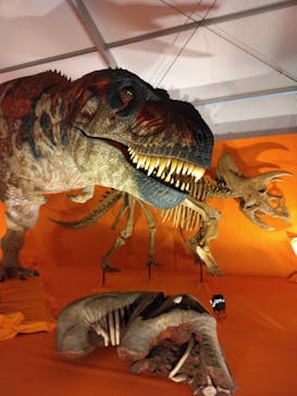 オダイバ恐竜博覧会2024 -福井から“ヤツラ”が新幹線でやってくる！-に投稿された画像（2024/4/3）