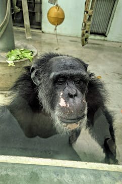 沖縄こどもの国に投稿された画像（2024/4/3）