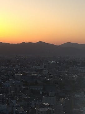 NAKED meets 二条城 2025 観月に投稿された画像（2024/4/3）