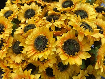 ゴッホ・アライブに投稿された画像（2024/4/3）