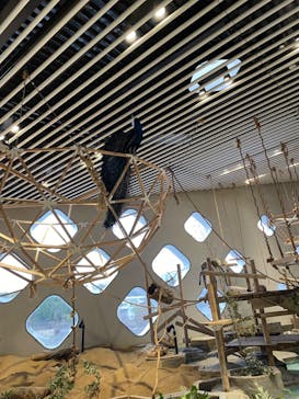 NIFREL（ニフレル）に投稿された画像（2024/4/3）