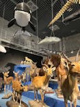 特別展「大哺乳類展３－わけてつなげて大行進」に投稿された画像（2024/4/3）