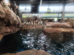 NAKED×京都水族館に投稿された画像（2024/4/3）