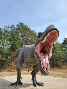 福井県立恐竜博物館に投稿された画像（2024/4/3）