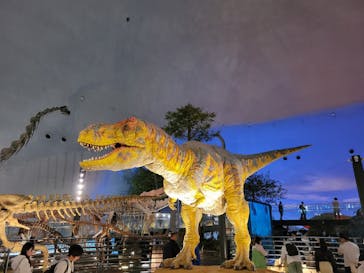 福井県立恐竜博物館に投稿された画像（2024/4/3）
