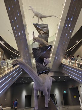 福井県立恐竜博物館に投稿された画像（2024/4/3）