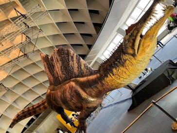 オダイバ恐竜博覧会2024 -福井から“ヤツラ”が新幹線でやってくる！-に投稿された画像（2024/4/3）