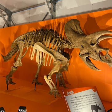 オダイバ恐竜博覧会2024 -福井から“ヤツラ”が新幹線でやってくる！-に投稿された画像（2024/4/3）