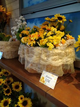 志摩スペイン村パルケエスパーニャに投稿された画像（2024/4/3）