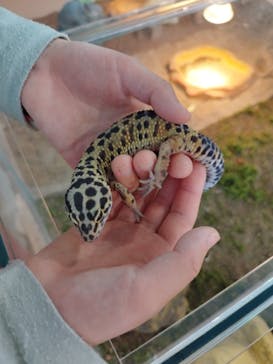 いきもの探検隊上尾に投稿された画像（2024/4/3）