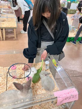 いきもの探検隊上尾に投稿された画像（2024/4/3）