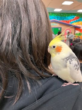 いきもの探検隊上尾に投稿された画像（2024/4/3）