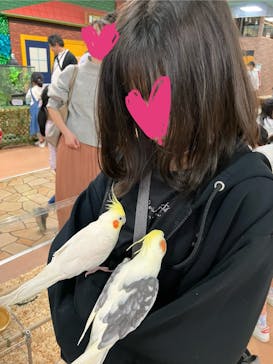 いきもの探検隊上尾に投稿された画像（2024/4/3）