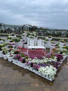 浜名湖花博2024に投稿された画像（2024/4/3）