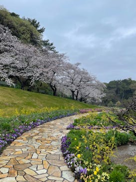 浜名湖花博2024に投稿された画像（2024/4/3）