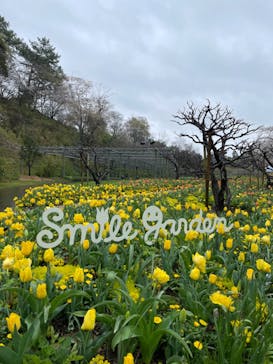 浜名湖花博2024に投稿された画像（2024/4/3）