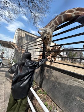 宇都宮動物園に投稿された画像（2024/4/3）