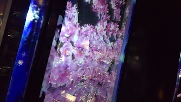 東京タワーに投稿された画像（2024/4/3）