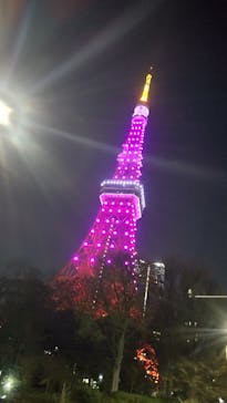 東京タワーに投稿された画像（2024/4/3）