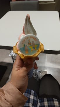 東京タワーに投稿された画像（2024/4/3）