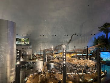 福井県立恐竜博物館に投稿された画像（2024/4/4）