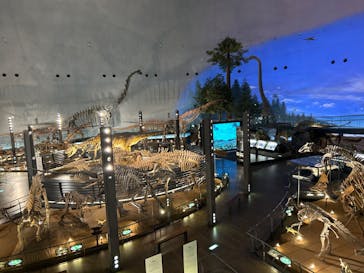 福井県立恐竜博物館に投稿された画像（2024/4/4）