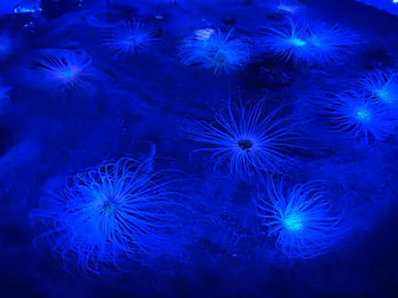 仙台うみの杜水族館に投稿された画像（2024/4/4）