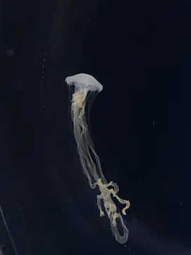 仙台うみの杜水族館に投稿された画像（2024/4/4）