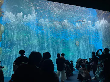 仙台うみの杜水族館に投稿された画像（2024/4/4）