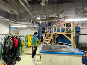 仙台うみの杜水族館に投稿された画像（2024/4/4）