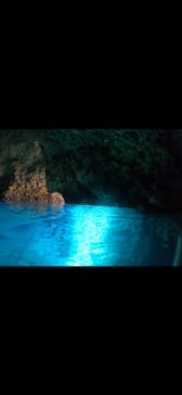 武藤潜水に投稿された画像（2024/4/4）