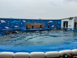 仙台うみの杜水族館に投稿された画像（2024/4/4）
