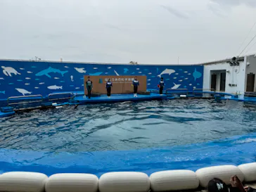 仙台うみの杜水族館に投稿された画像（2024/4/4）
