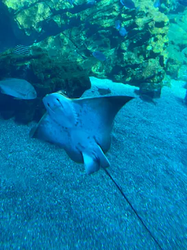 仙台うみの杜水族館に投稿された画像（2024/4/4）
