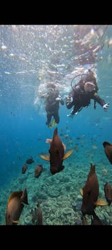 武藤潜水に投稿された画像（2024/4/4）