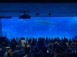 沖縄美ら海水族館に投稿された画像（2024/4/4）