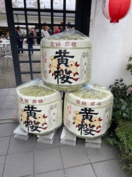 京阪電車に投稿された画像（2024/4/4）