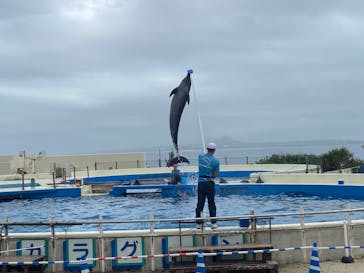 沖縄美ら海水族館に投稿された画像（2024/4/4）