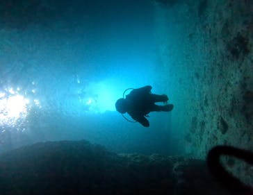 武藤潜水に投稿された画像（2024/4/4）