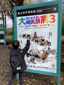 特別展「大哺乳類展３－わけてつなげて大行進」に投稿された画像（2024/4/4）