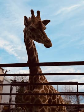 宇都宮動物園に投稿された画像（2024/4/4）