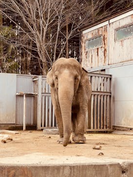 宇都宮動物園に投稿された画像（2024/4/4）