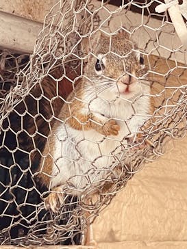 宇都宮動物園に投稿された画像（2024/4/4）