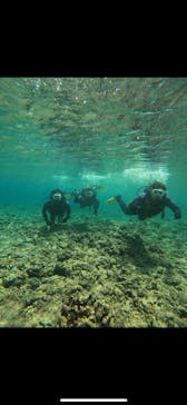 武藤潜水に投稿された画像（2024/4/4）