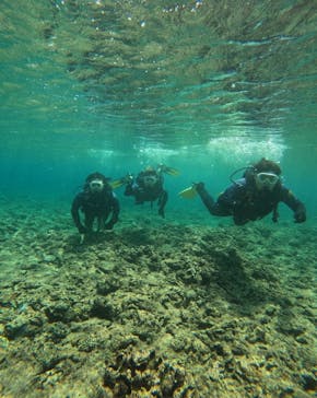 武藤潜水に投稿された画像（2024/4/4）