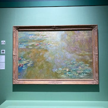 モネ　連作の情景に投稿された画像（2024/4/4）