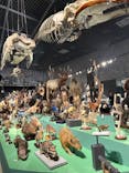 特別展「大哺乳類展３－わけてつなげて大行進」に投稿された画像（2024/4/4）