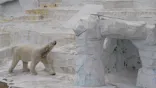 天王寺動物園に投稿された画像（2024/4/4）